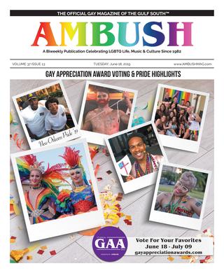 Ambush Magazine Volume 37 Issue 13 Cover